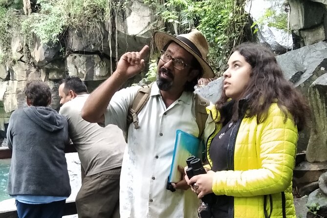 Bird Observation in the National Park of Uruapan. - Key points to know before you go