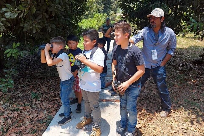 Bird Observation in the National Park of Uruapan. - More than birds: plants, geography, and tradition