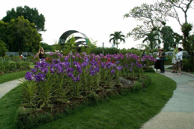 Bird Park & Butterfly Farm Nature Include All Entrance Tour From Kuala Lumpur - Kuala Lumpur Bird Park: free-flying birds and close encounters