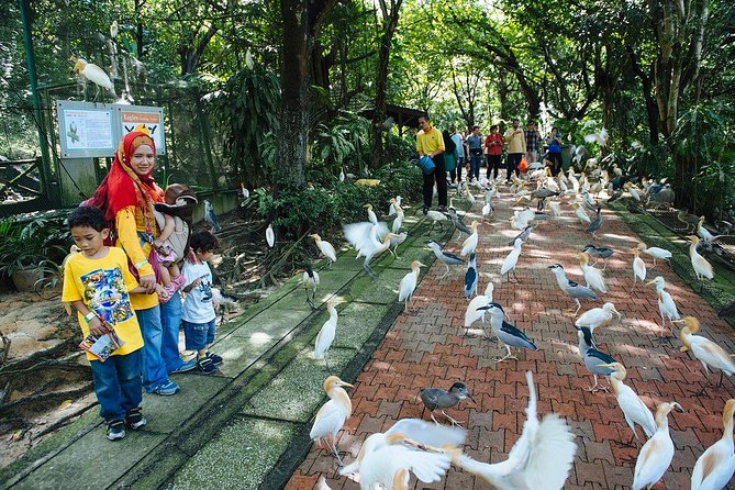 Bird Park & Butterfly Farm Nature Include All Entrance Tour From Kuala Lumpur - How the price compares with the experience