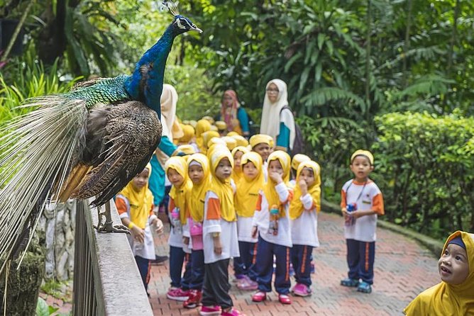 Bird Park & Butterfly Farm Nature Tour From Kuala Lumpur - A short nature break from central Kuala Lumpur