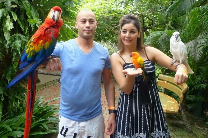 Bird Park & Butterfly Farm Nature Tour From Kuala Lumpur - Transport and driver service need careful attention