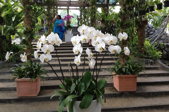 Bird Park & Butterfly Farm Nature Tour From Kuala Lumpur - Who will get the most from this outing?
