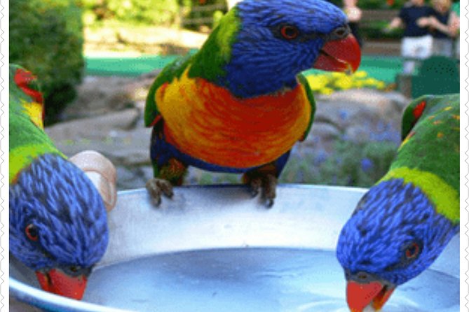 Bird Sanctuary and animal farm Day Tour - Key points to know before booking