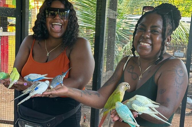 Bird Sanctuary and animal farm Day Tour - A garden walk with more than birds
