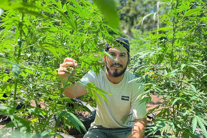 Bird Sanctuary and animal farm Day Tour - Adding Montego Bay’s hip strip
