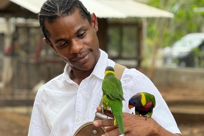 Bird Sanctuary and Montego Bay City Tour - Key points at a glance