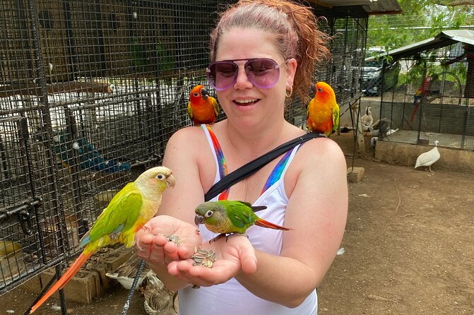 Bird Sanctuary and Montego Bay City Tour - Shopping for souvenirs and gifts