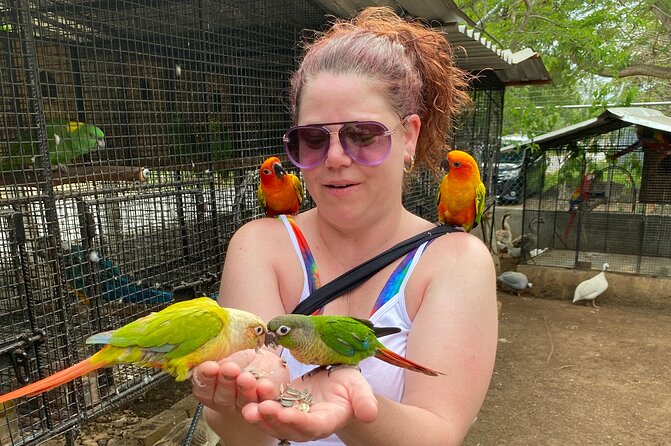 Bird Sanctuary and Montego Bay City Tour - Is $140 per person a fair price?