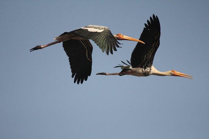 Bird Sanctuary, Bharatpur & Taj Mahal, Agra Day Tour from Delhi - Who will enjoy this long private day?