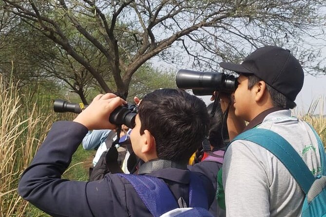 Bird Watching at Nandur Madhyameshwar Wildlife Sanctuary Nashik - Key points to know before booking