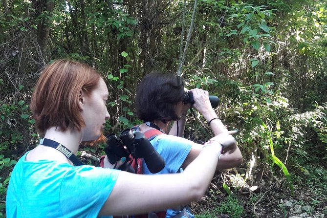 Bird watching ecofriendly tour from Cancun & Riviera Maya - Two locations create variety without a rushed schedule