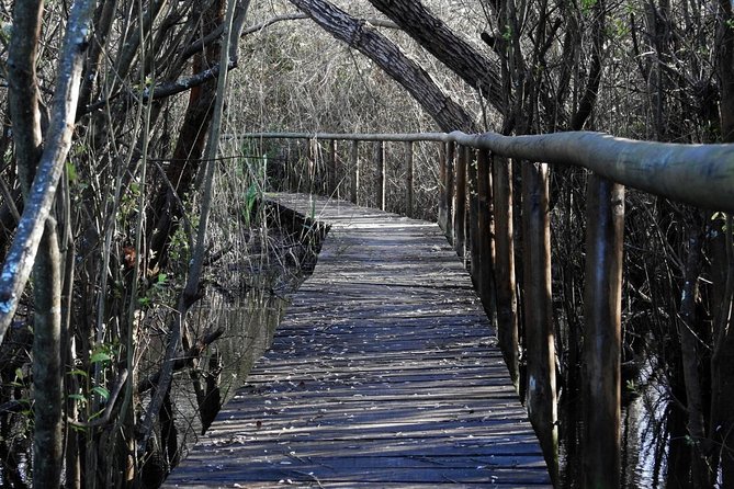 Bird Watching in Albufeira Lagoon - Is $102.96 a fair price?