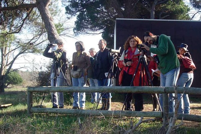 Bird Watching in Albufeira Lagoon - Who will enjoy this outing most?