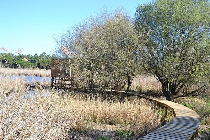 Bird Watching in Albufeira Lagoon - The best part: a quiet side of Lisbon
