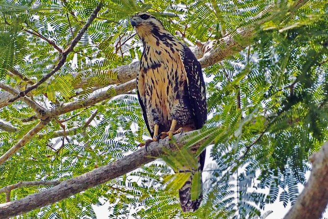 Bird watching in La Mancha - Walking through seven ecosystems at Camp Ecoturistico La Mancha
