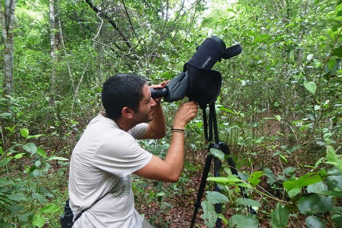 Bird Watching in Sian Ka´an Muyil - Why this early Muyil outing works