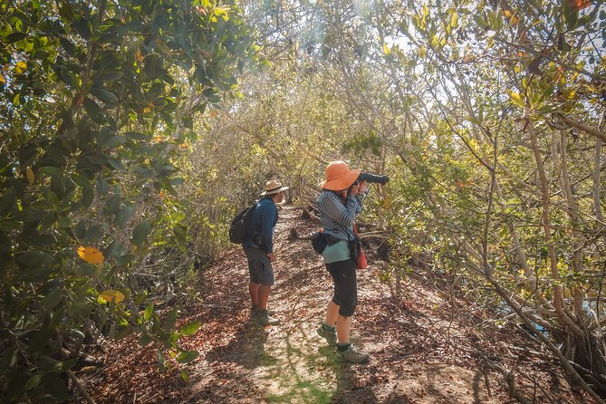 Bird Watching Mazatlán - Birding Tour - Key points to know before booking