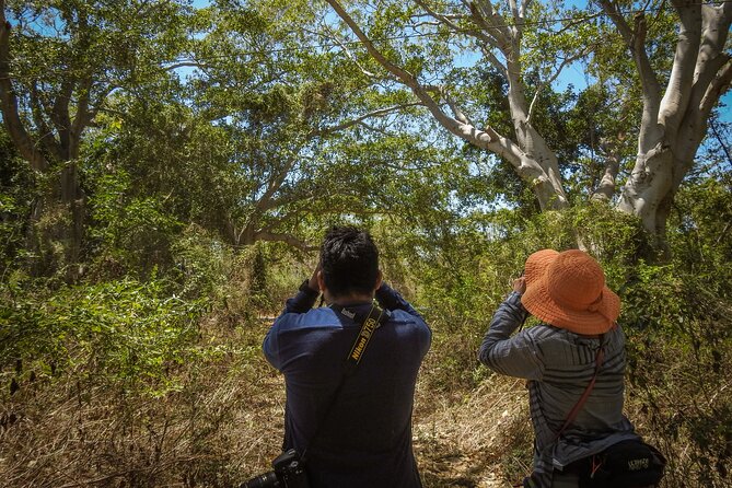 Bird Watching Mazatlán - Birding Tour - A smart choice for cruise passengers