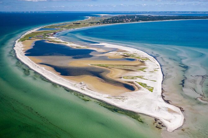 Bird Watching Private Tour in Copenhagen - North or south, with the route shaped around your interests