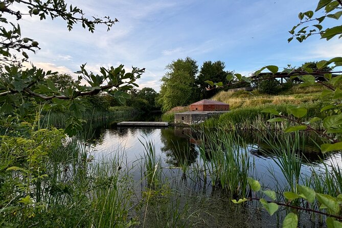 Bird Watching Private Tour in Copenhagen - Coffee, tea, and the small details that help