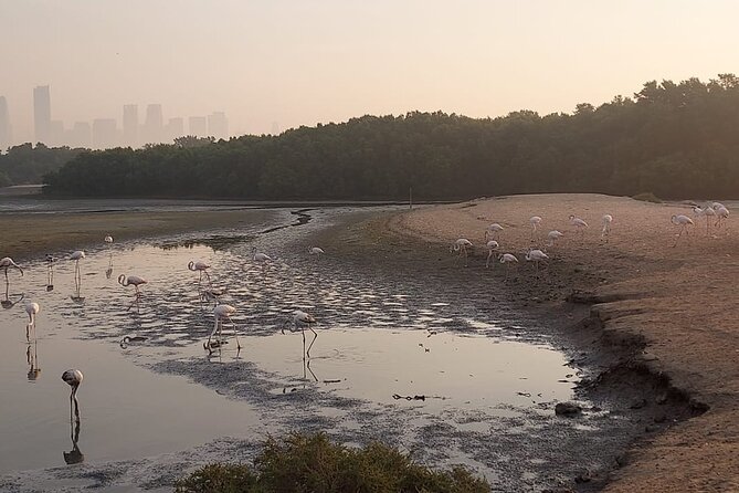 Bird Watching Tour Dubai - Who will enjoy this experience most