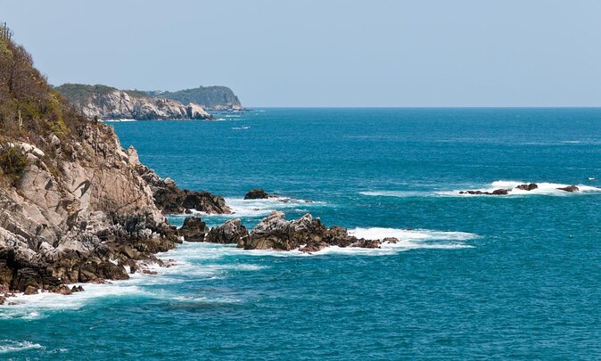 Bird Watching Tour Huatulco HT - Key points for choosing this Huatulco bird tour
