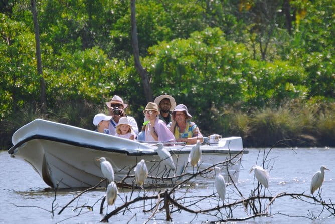 Bird Watching Tour Sri Lanka - 10 Days - Days 6 and 7: Kithulgala and Sinharaja Rain Forest