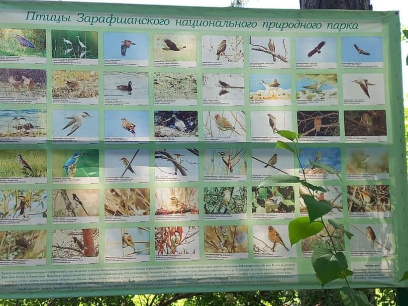 Bird Watching Tours in Samarkand - Key points for deciding quickly