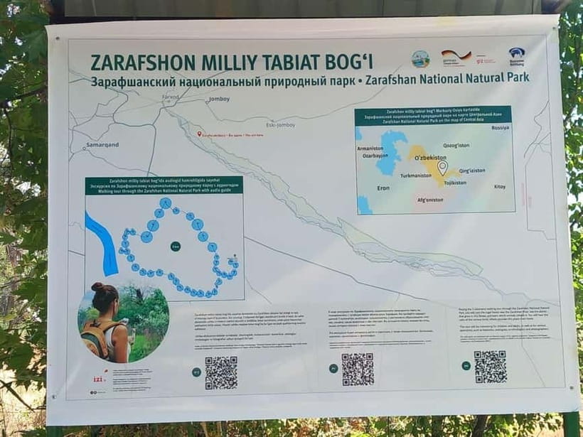 Bird Watching Tours in Samarkand - Lunch and the personal side of the outing