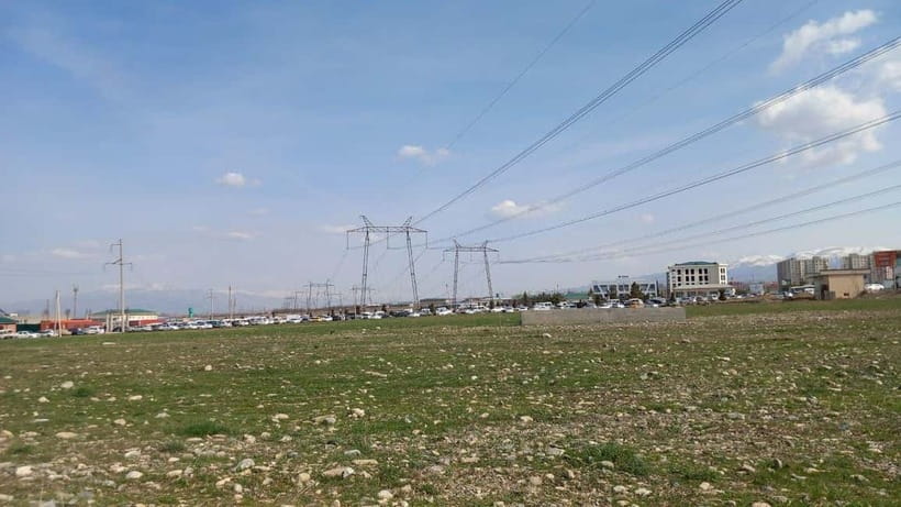 Bird Watching Tours in Samarkand - How good is the guide for serious birders?