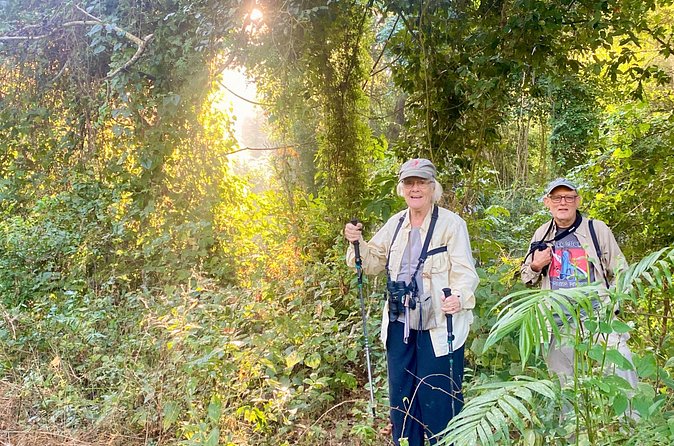 Birding for beginners - Learning binoculars, calls, and a birding app