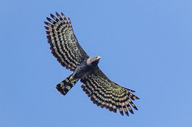 Birding for beginners - Is $71.82 a fair price?