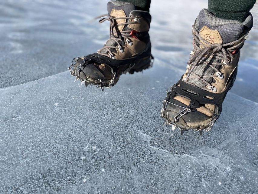 Birding Hike and Hot Spring Soak from Denver - Who will enjoy this most
