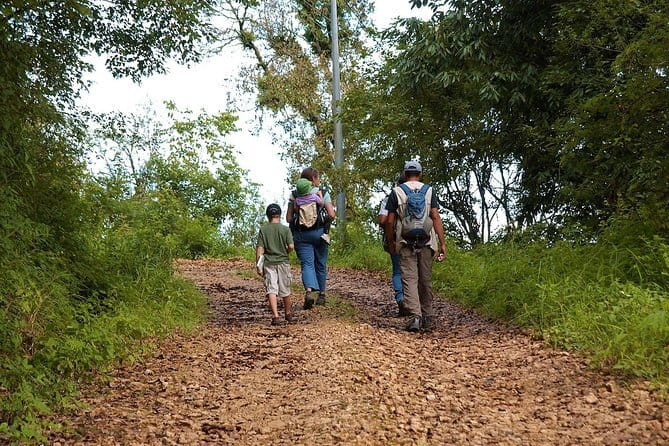 Birding Hike: Day Birdwatching in Kathmandu - Five things to know before you go