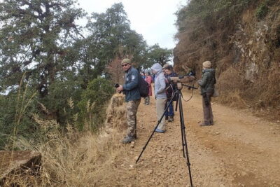 Birding Hike: Day Birdwatching in Kathmandu