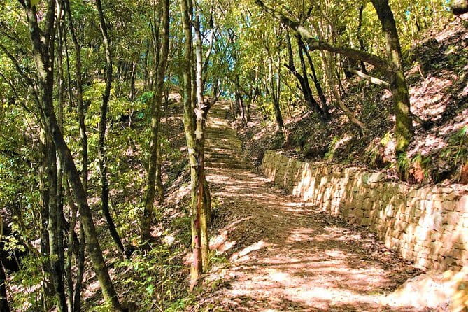 Birding Hike: Day Birdwatching in Kathmandu - Is $220 a fair price?