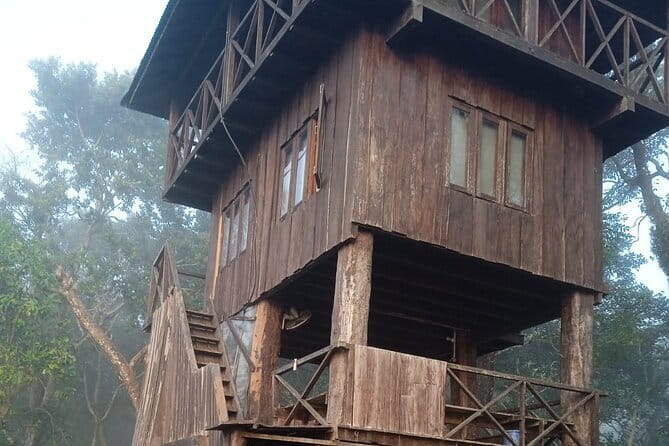 Birding Hike: Day Birdwatching in Kathmandu - Who will enjoy this outing most?