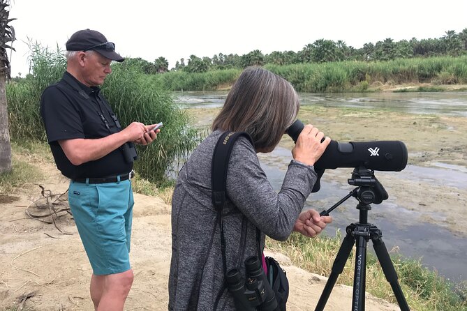 Birding San Jose Estuary Los Cabos Mexico - Why the San Jose Estuary Matters