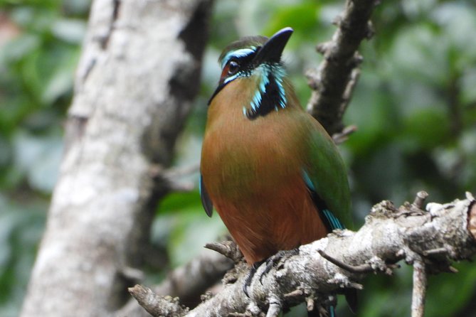Birds of the Mayan World 1 - Fitness, weather, and practical planning