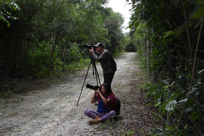 Birds of the Mayan World 2 / Route of the cenotes - Food, local context, and the human side of the outing