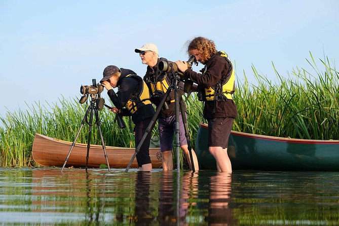 BIRDWATCH - Premium guided canoe tour at Cape Vente, Nemunas Delta Regional Park - Key points at a glance