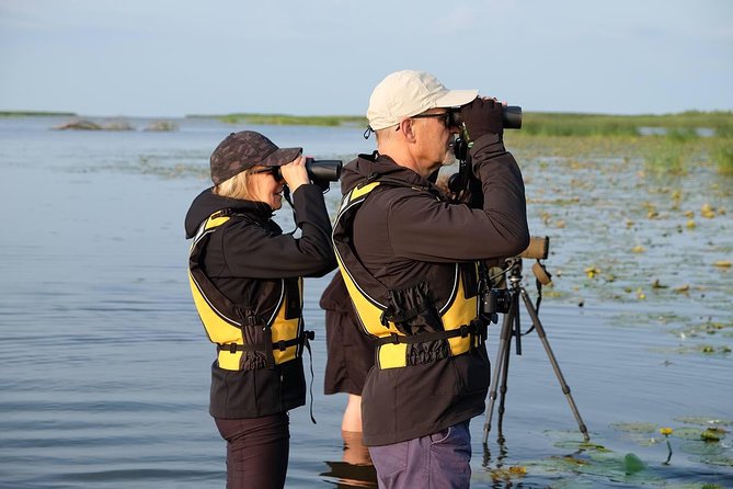 BIRDWATCH - Premium guided canoe tour at Cape Vente, Nemunas Delta Regional Park - Birds you may see at Cape Ventė