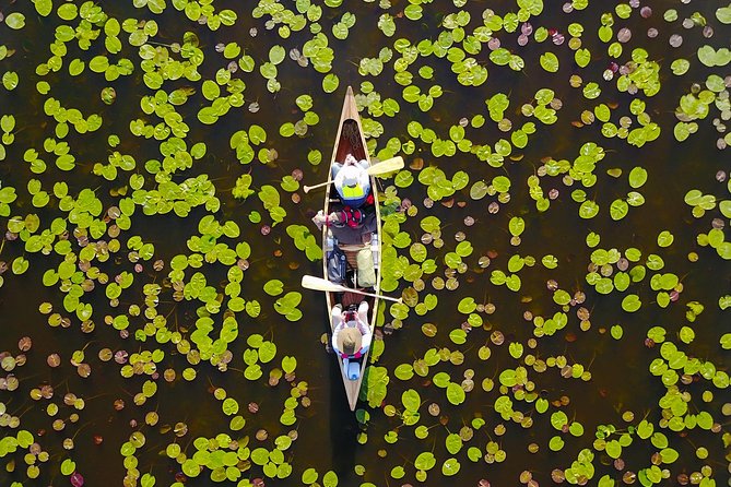 BIRDWATCH - Premium guided canoe tour at Cape Vente, Nemunas Delta Regional Park - Uostadvaris Lighthouse and the bird station