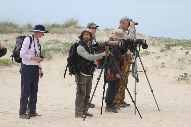 Birdwatching at Abicada and Alvor dunes - Key points for your birdwatching day
