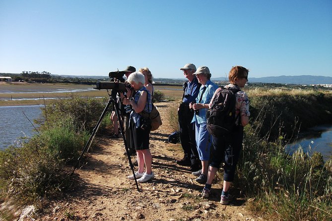 Birdwatching at Ria de Alvor - Key things to know before you book