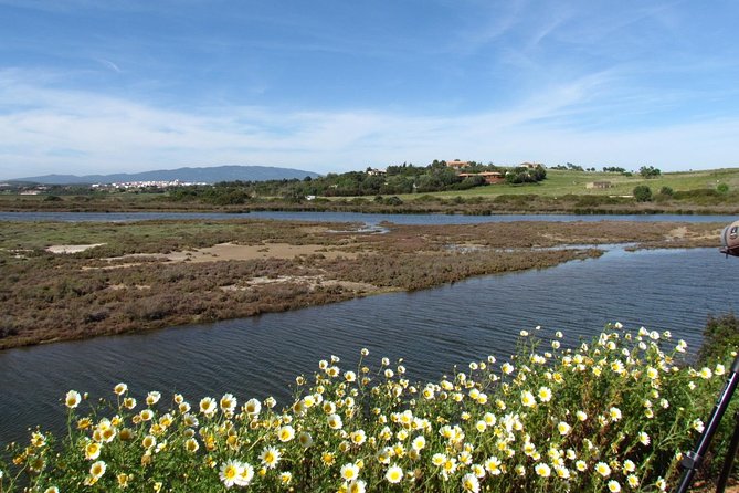Birdwatching at Ria de Alvor - A three-hour walk with room to stop