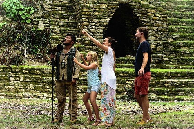 Birdwatching at The Mayan Cities with certified guide - Who will enjoy this Bacalar outing?