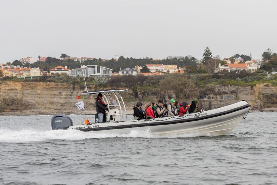 Birdwatching Boat Tour in the Tagus Estuary - Two hours in the Tagus Estuary Nature Reserve