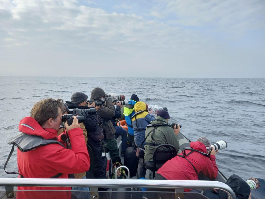 Birdwatching Boat Tour in the Tagus Estuary - Who should book this Tagus Estuary tour?